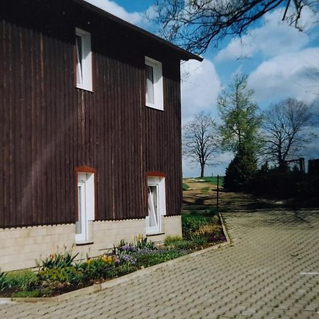 Falkenstein Reinhardtsdorf-Schona Εξωτερικό φωτογραφία